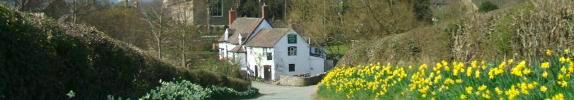 The Royal Oak - Photo by Terry Haunch
