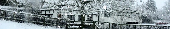 The Royal Oak