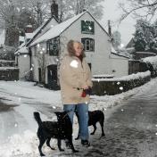 Snow at 'The Oak'