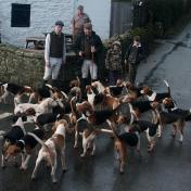 The Beagles
