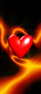 Valentine's Day