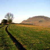 The Wilderness with Caer Caradoc in the distance. Photo by Trevor Halsey
