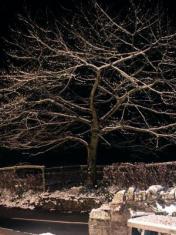 Midnight on Mothering Sunday