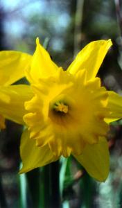 Easter Sunday