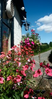 Royal Oak Flowers