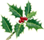 Holly