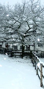 Winter Warmer Menu