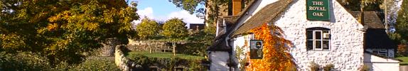 The Royal Oak - Photo by David Kelly-Durrant