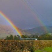 Local Views