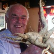 Roy Davies