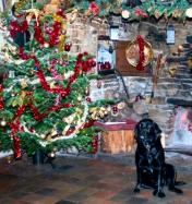 Christmas at The Oak